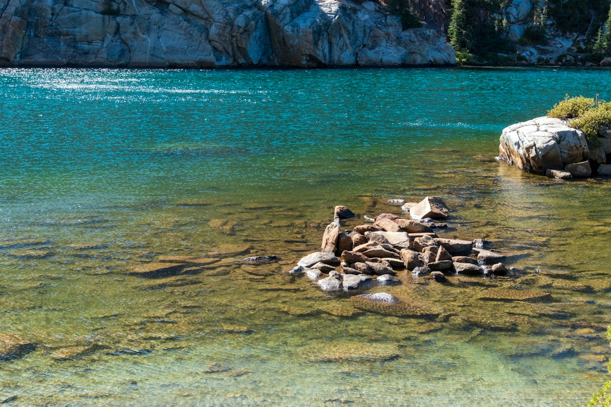 A quiet wooded cove along a lake shoreline